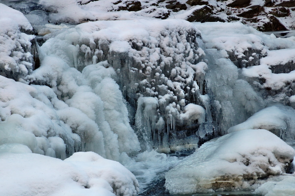 RNA-2017-01-22-00025218p_Bildgr��e �ndern