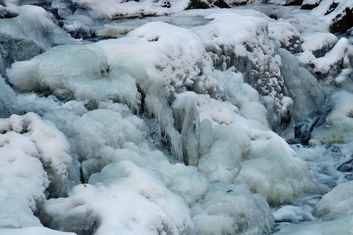 RNA-2017-01-22-00025224p_Bildgr��e �ndern