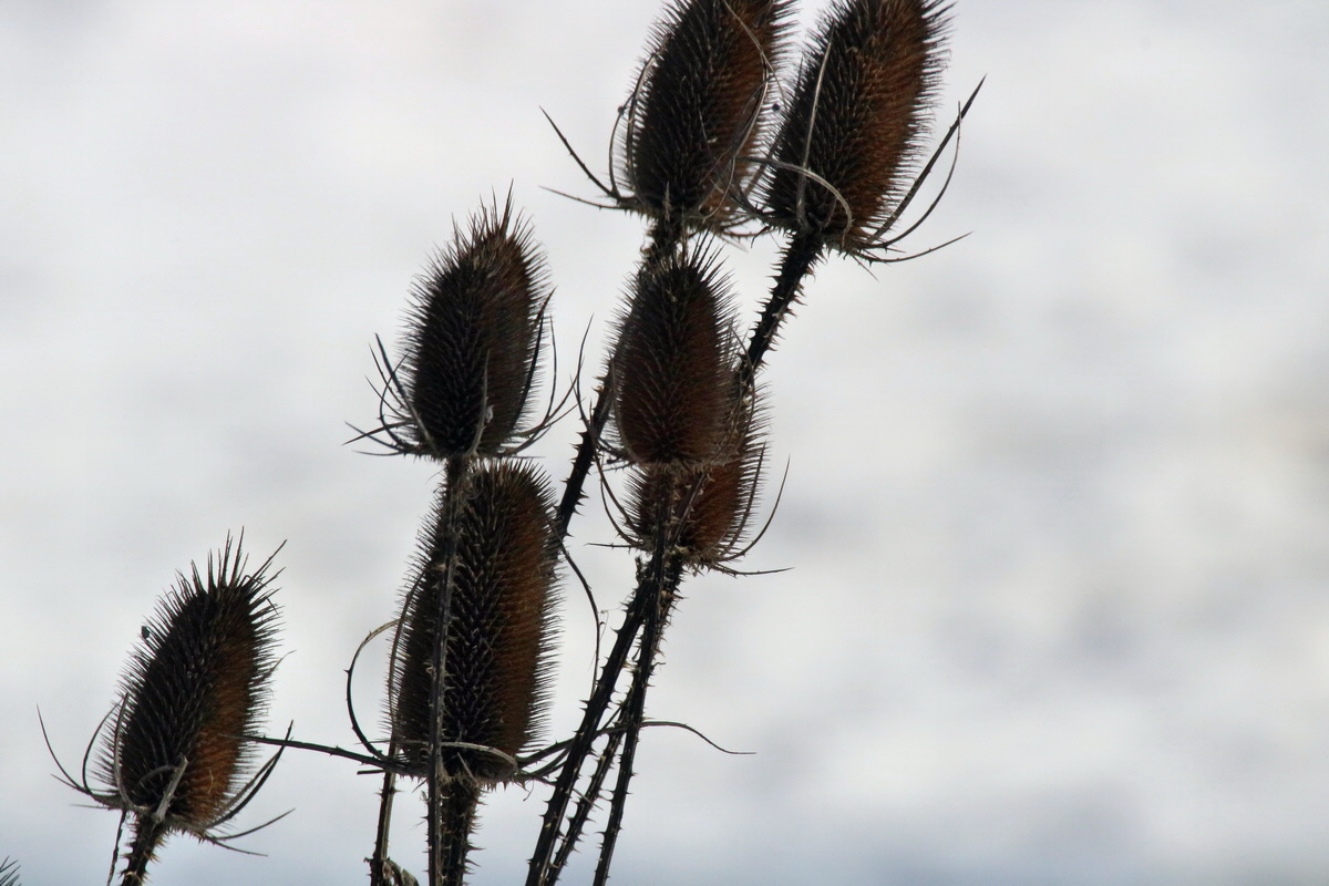 RNA-2017-02-14-00025668p_Bildgr��e �ndern