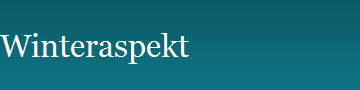 Winteraspekt
