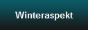 Winteraspekt