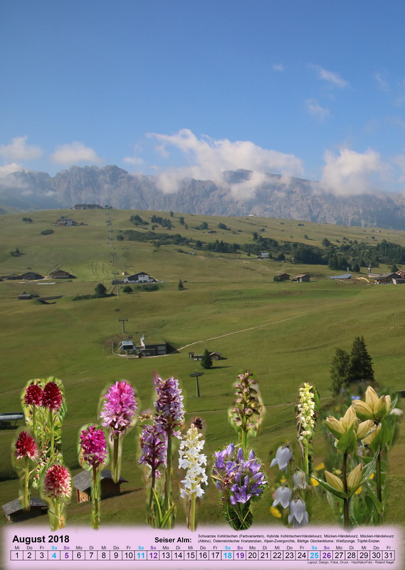 vorlage08-9_Bildgr��e �ndern