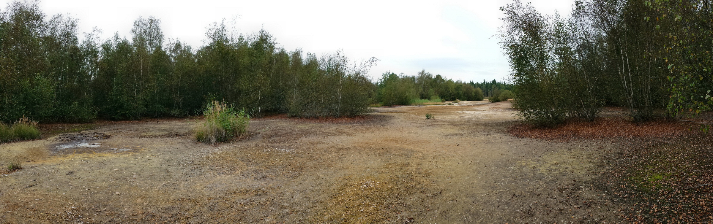 20160904_111353p_Bildgr��e �ndern