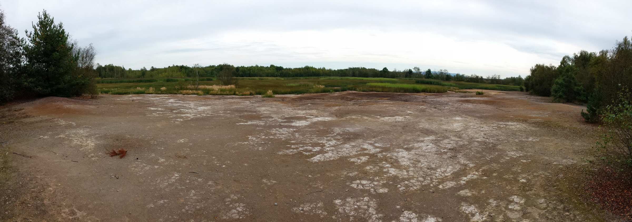 20160904_111941p_Bildgr��e �ndern