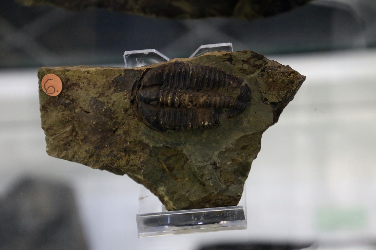 2016_09_04_027481p_Bildgr��e �ndern