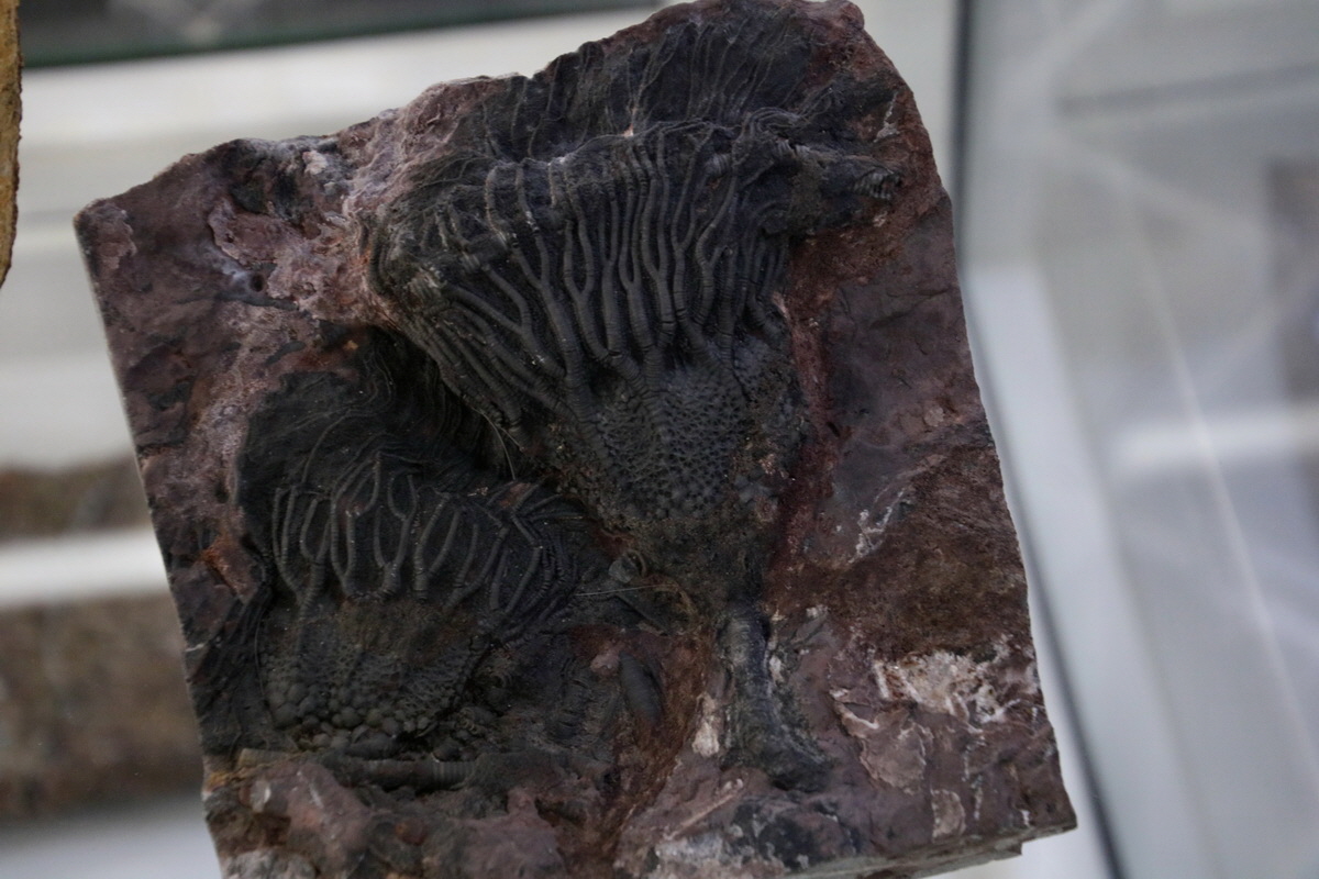 2016_09_04_027484p_Bildgr��e �ndern