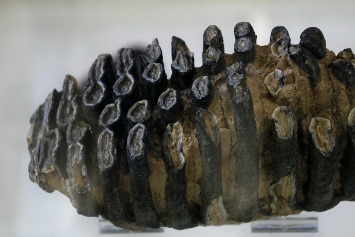 2016_09_04_027489p_Bildgr��e �ndern