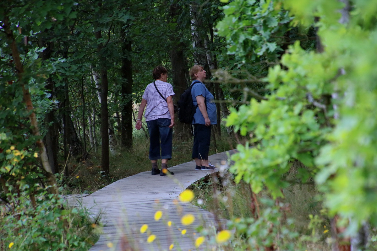 2016_09_04_027498p_Bildgr��e �ndern