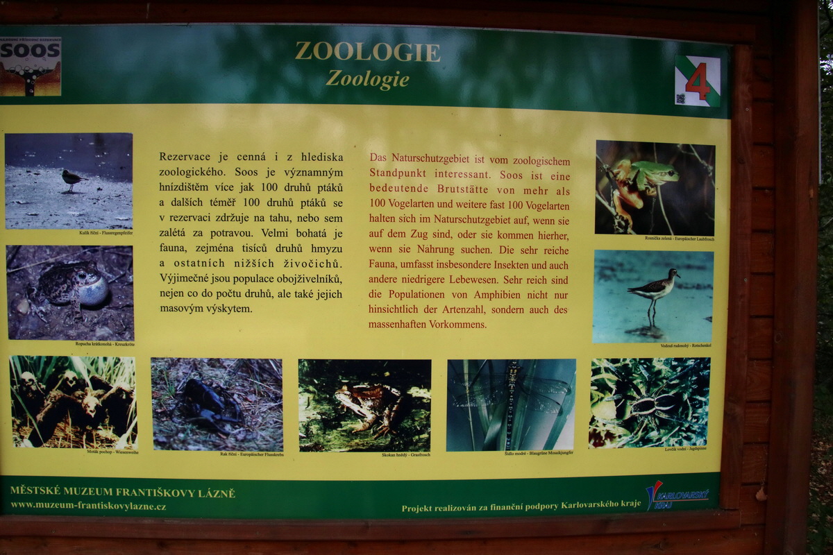 2016_09_04_027512p_Bildgr��e �ndern