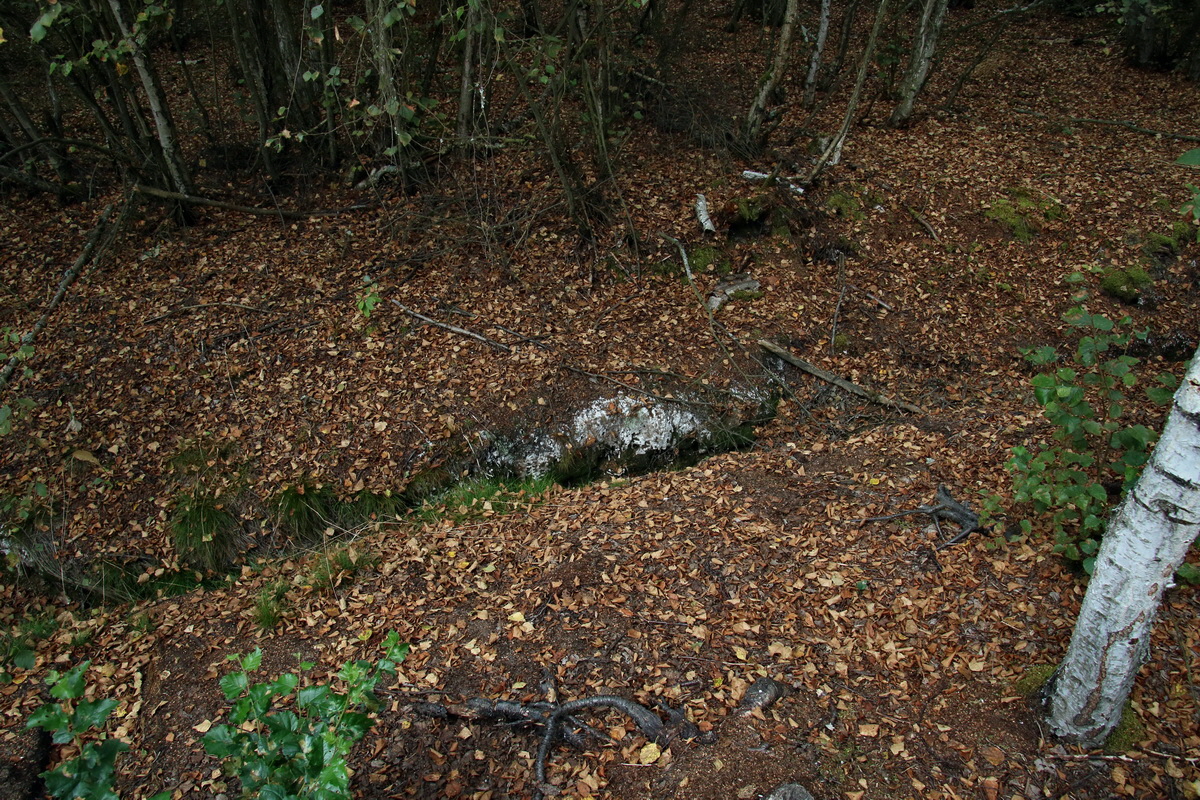 2016_09_04_027514p_Bildgr��e �ndern