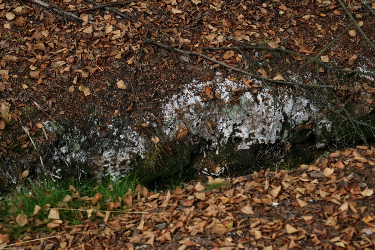 2016_09_04_027516p_Bildgr��e �ndern