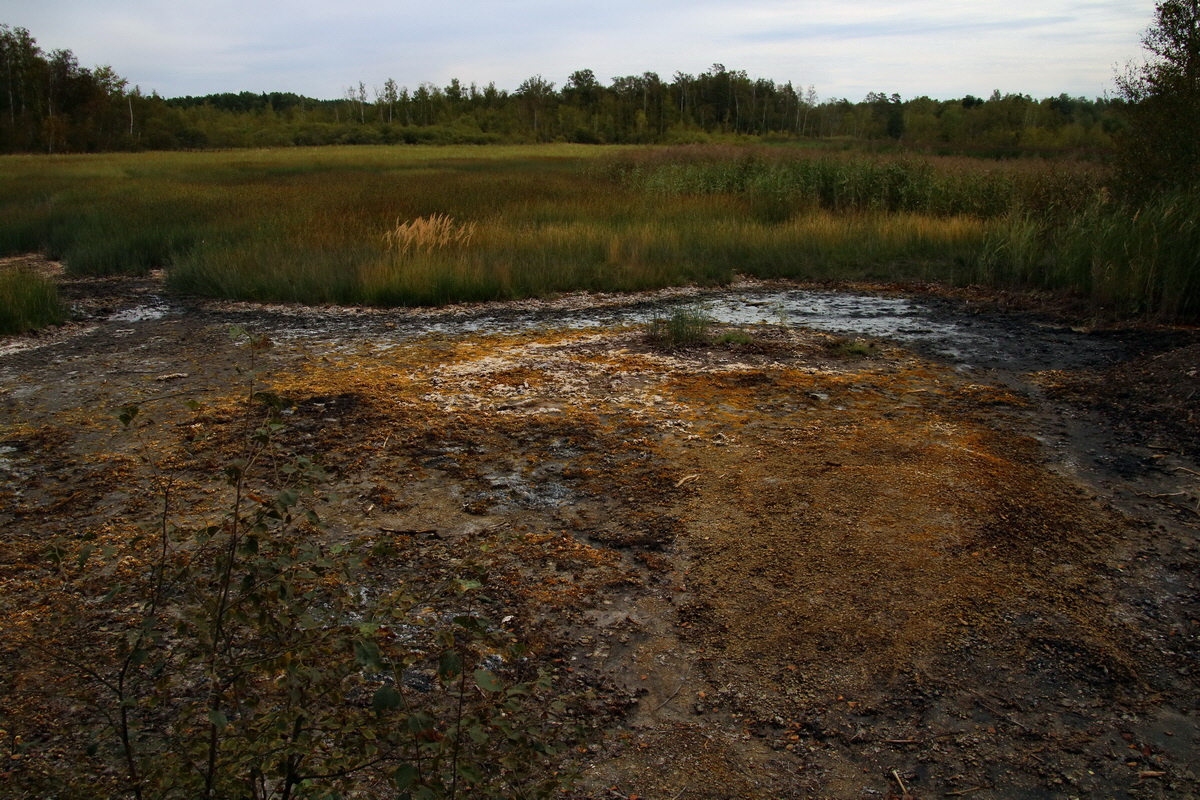 2016_09_04_027518p_Bildgr��e �ndern