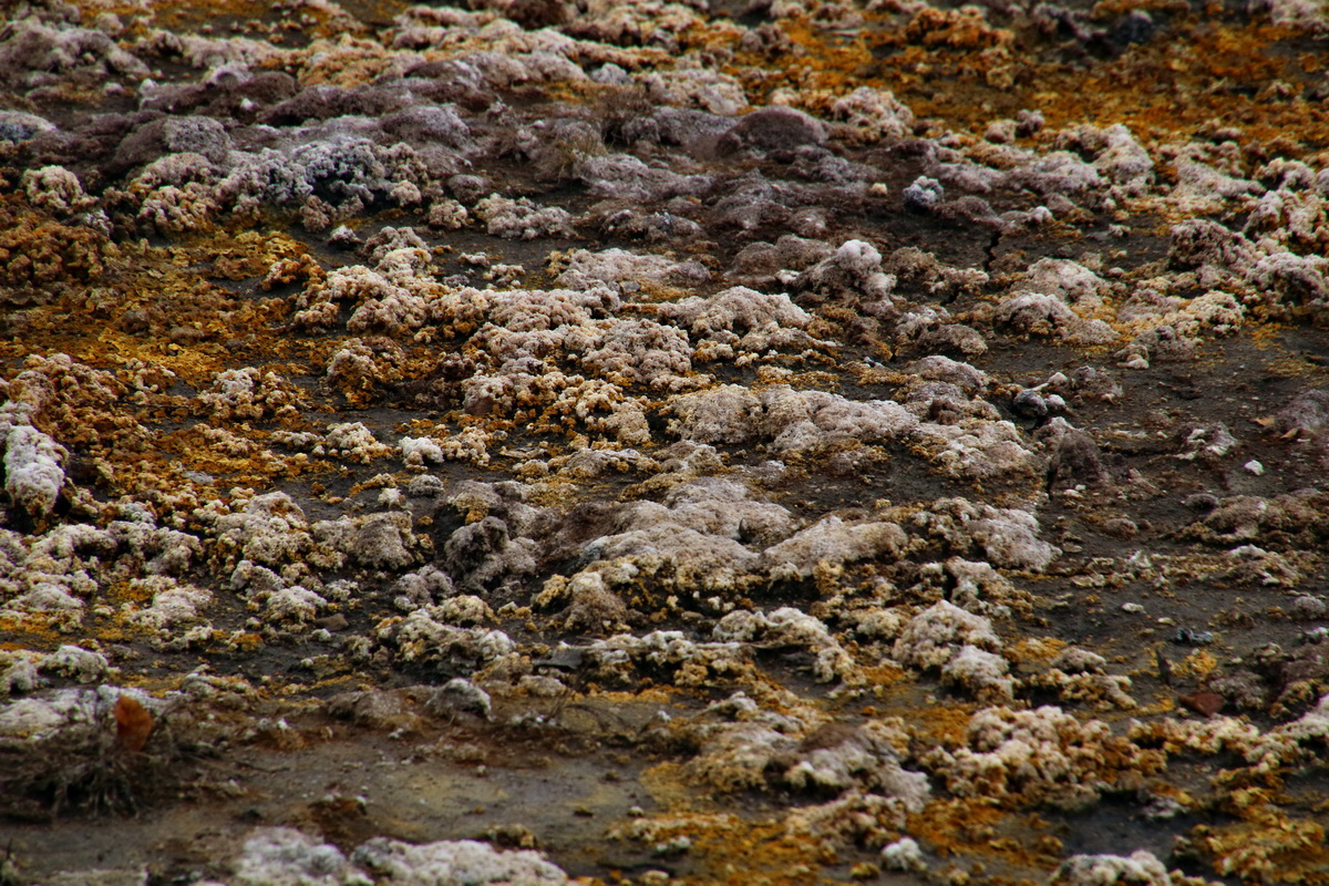 2016_09_04_027519p_Bildgr��e �ndern