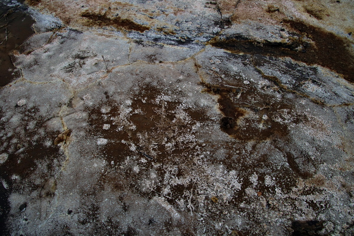 2016_09_04_027525p_Bildgr��e �ndern