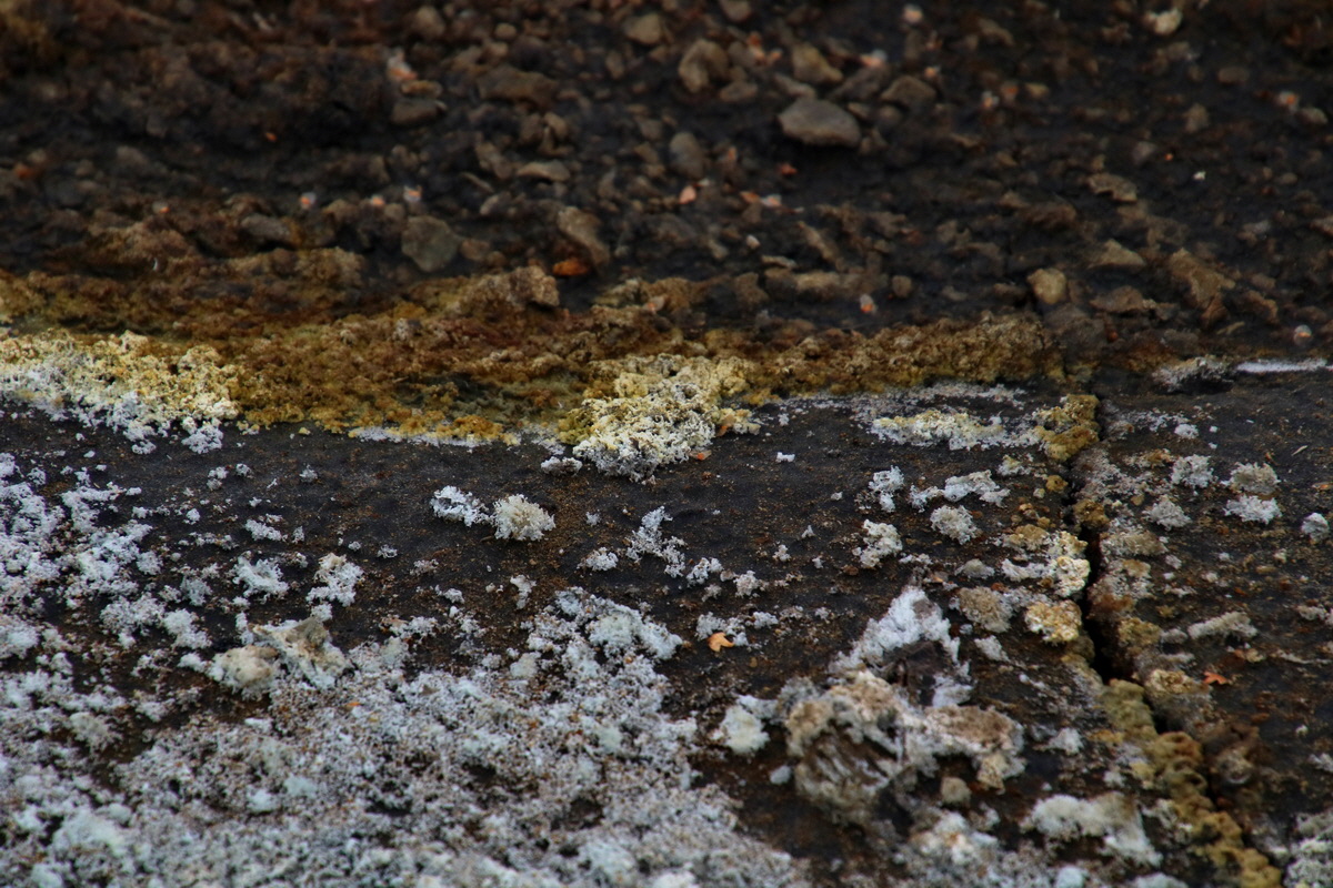 2016_09_04_027528p_Bildgr��e �ndern