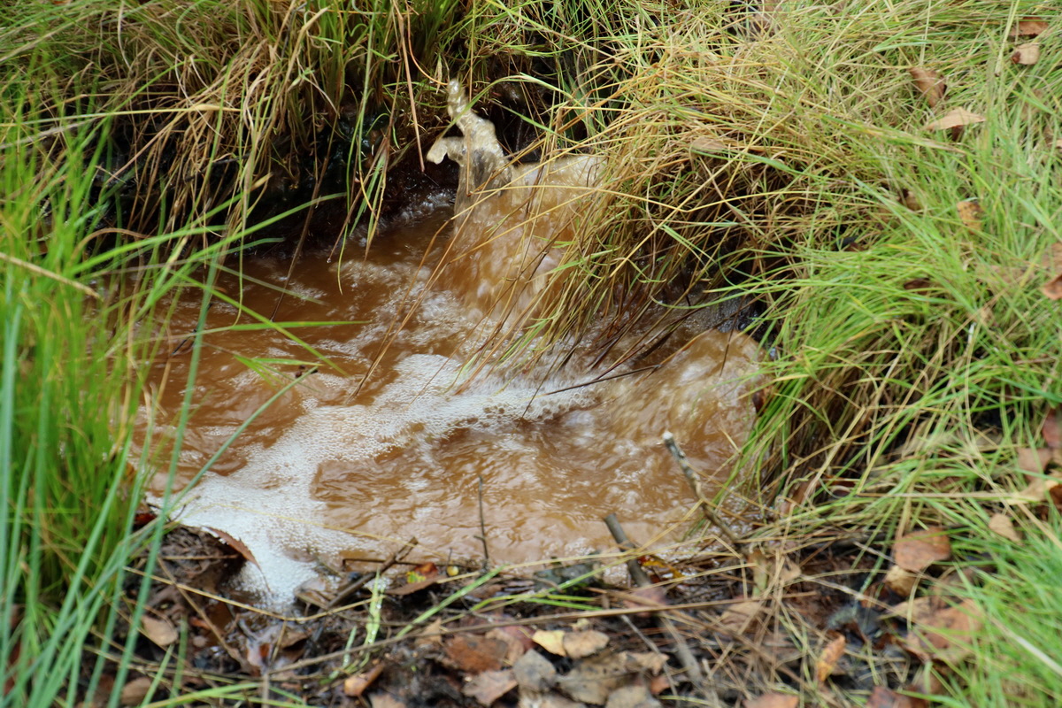 2016_09_04_027540p_Bildgr��e �ndern