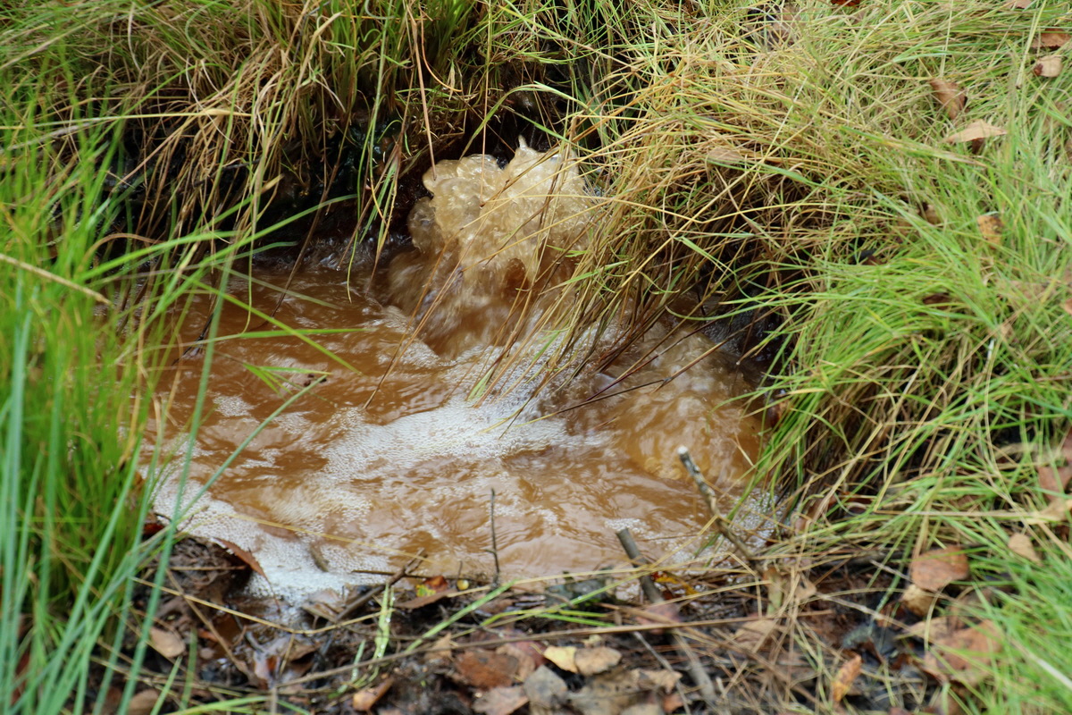 2016_09_04_027547p_Bildgr��e �ndern