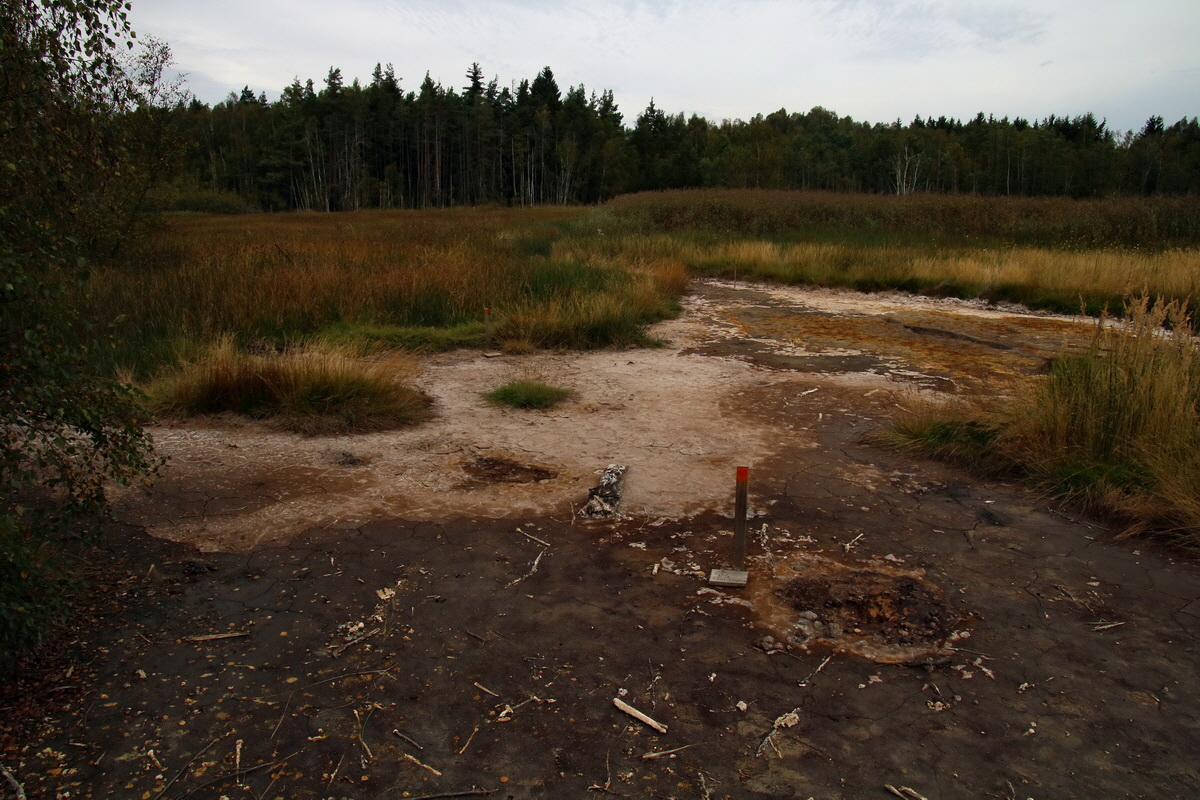 2016_09_04_027558p_Bildgr��e �ndern