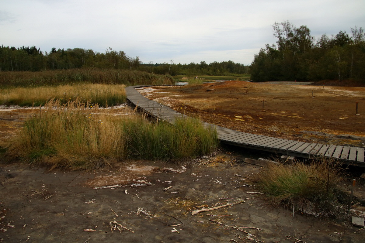 2016_09_04_027559p_Bildgr��e �ndern