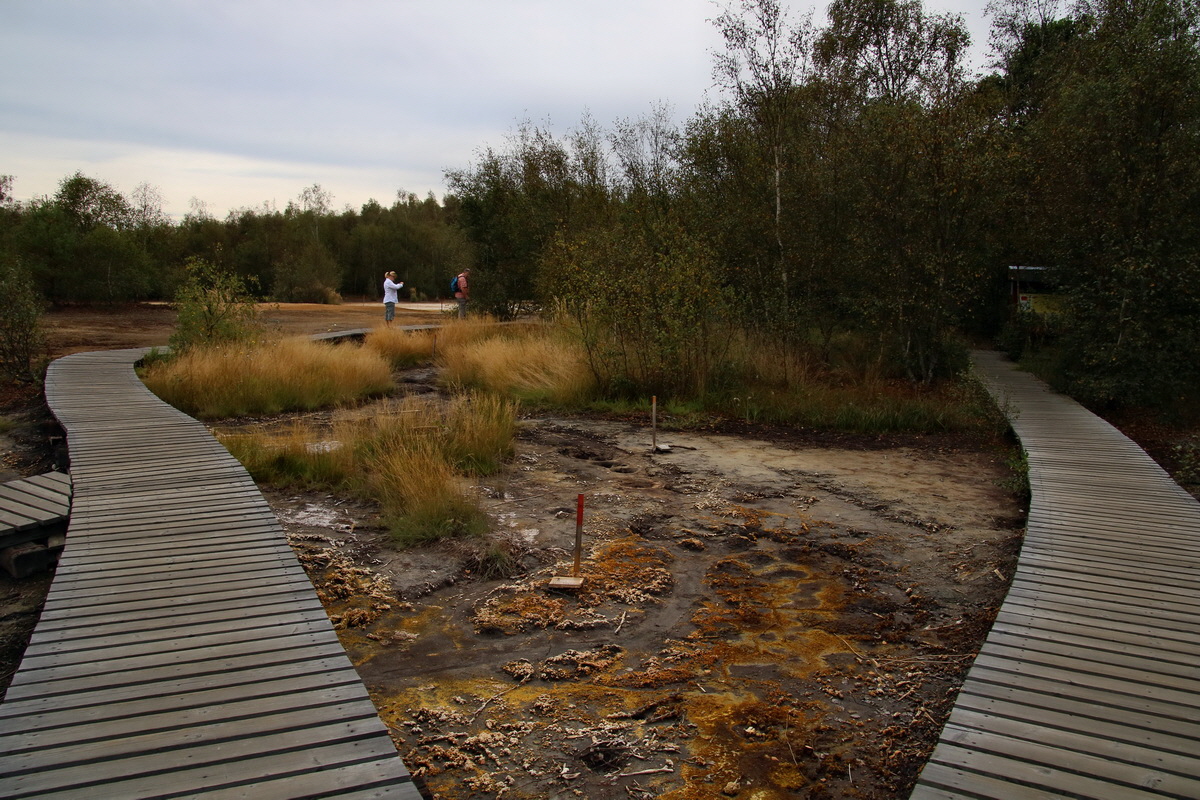 2016_09_04_027564p_Bildgr��e �ndern