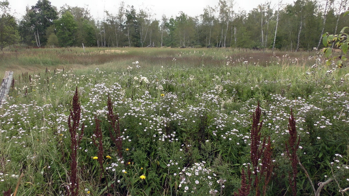 09-04-2016_120312p_Bildgr��e �ndern