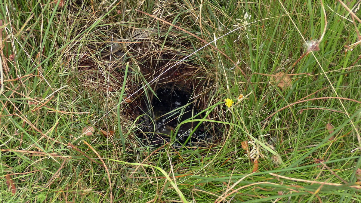 09-04-2016_121008p_Bildgr��e �ndern