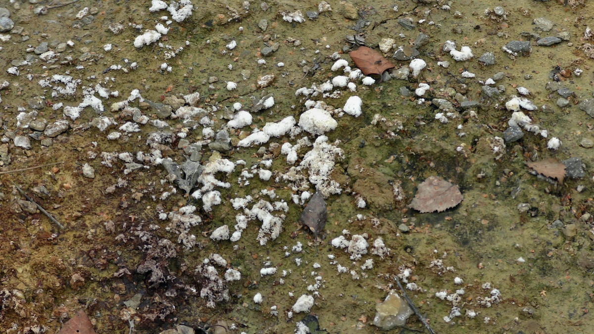 09-04-2016_121415p_Bildgr��e �ndern