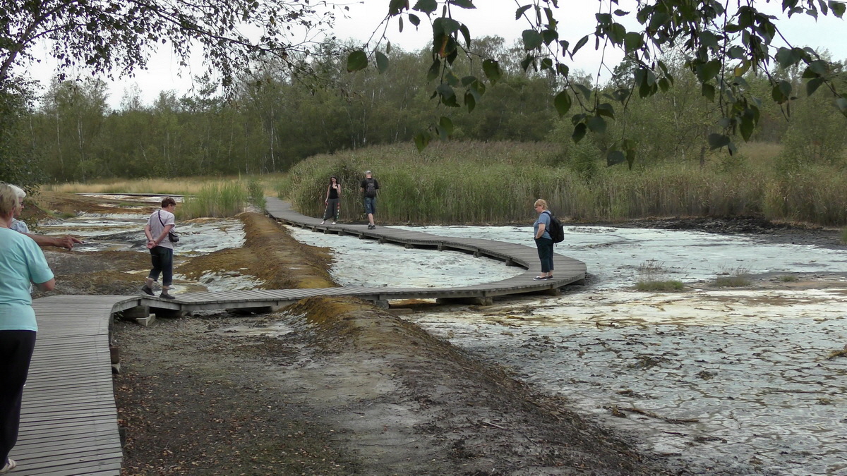 09-04-2016_122609(3)p_Bildgr��e �ndern