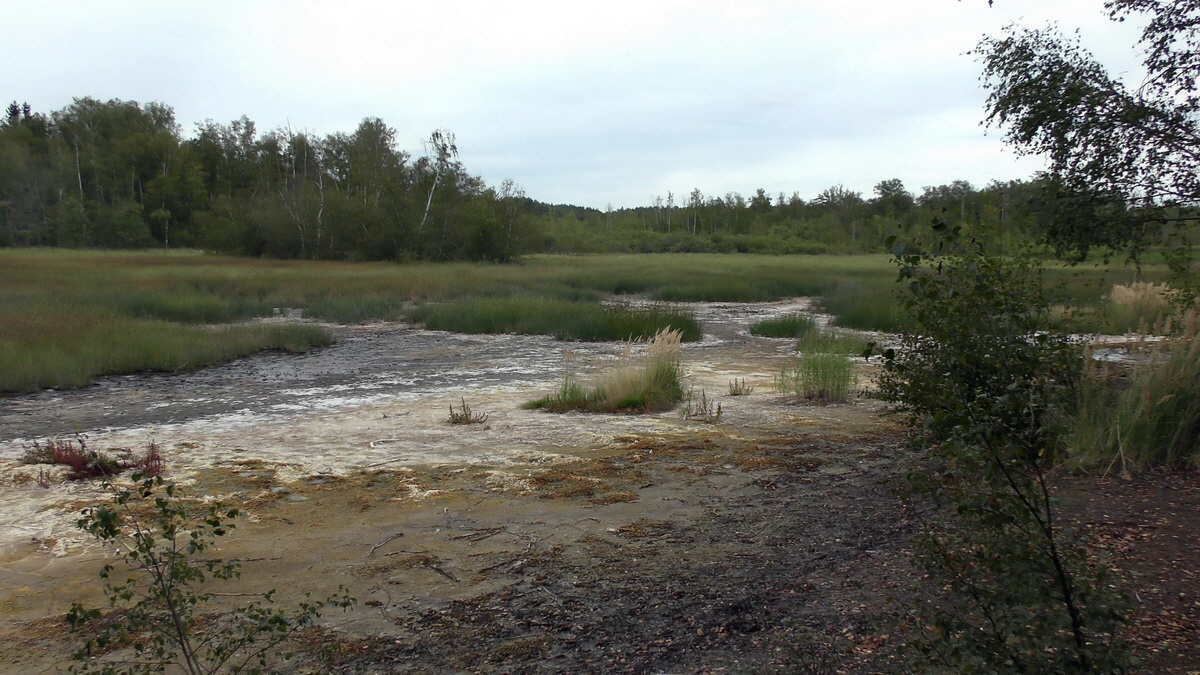 09-04-2016_122609(4)p_Bildgr��e �ndern