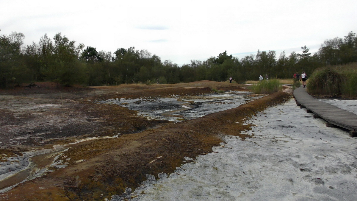 09-04-2016_122859(1)p_Bildgr��e �ndern