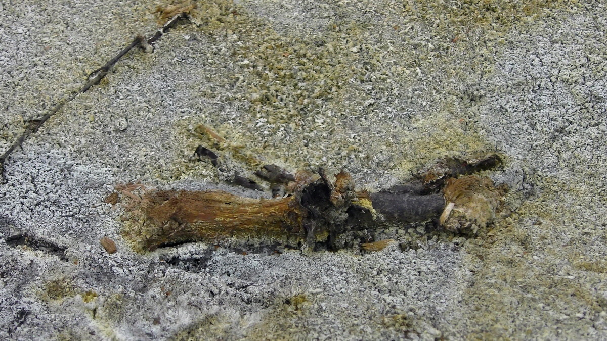 09-04-2016_122859(2)p_Bildgr��e �ndern