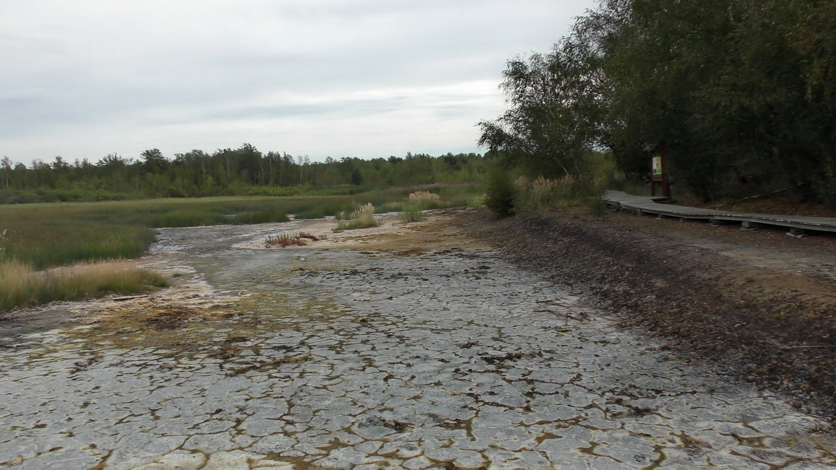 09-04-2016_122859p_Bildgr��e �ndern