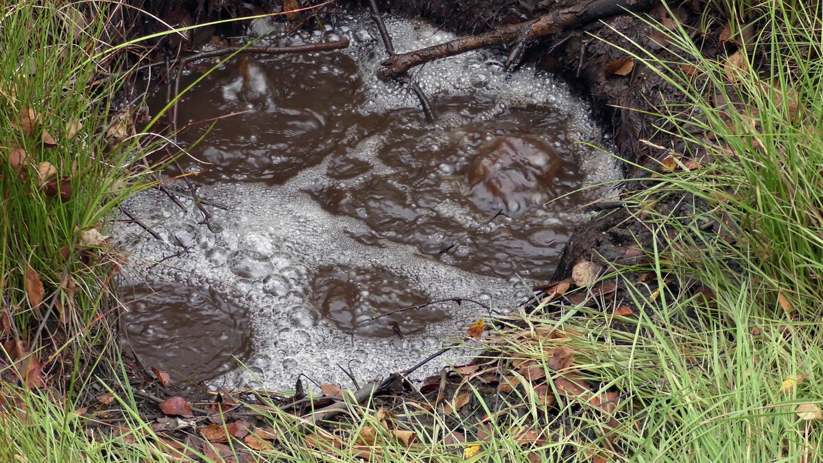 09-04-2016_123801p_Bildgr��e �ndern