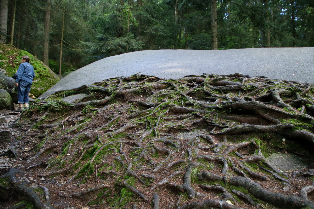 2016_09_06_027682p_Bildgr��e �ndern