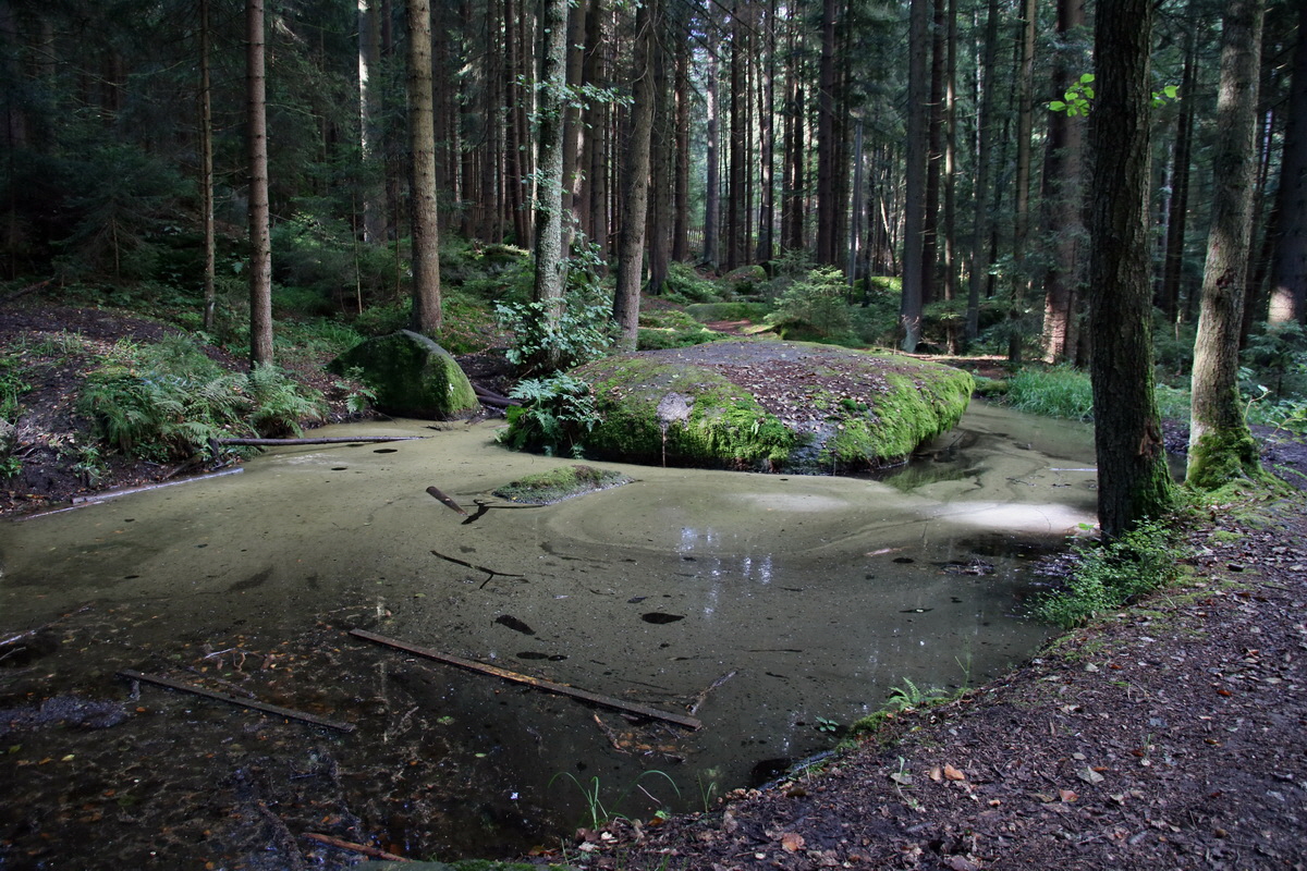 2016_09_06_027685p_Bildgr��e �ndern