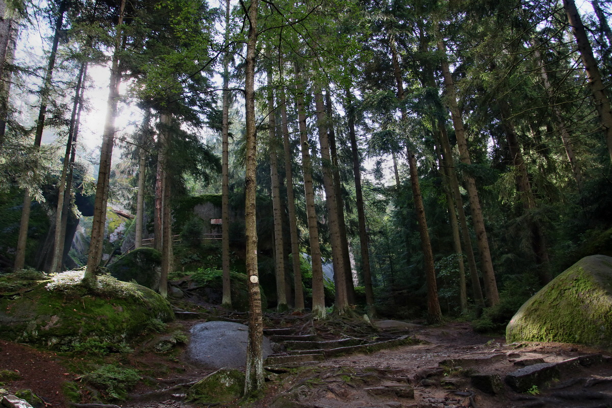 2016_09_06_027690p_Bildgr��e �ndern