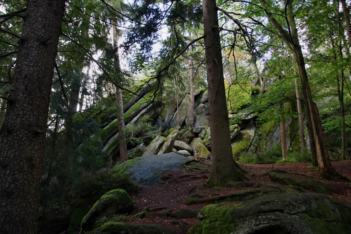 2016_09_06_027692p_Bildgr��e �ndern