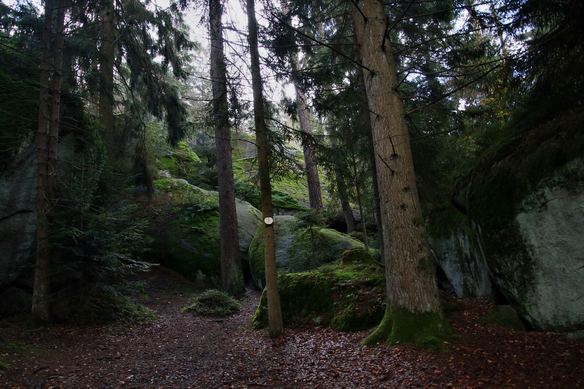 2016_09_06_027698p_Bildgr��e �ndern