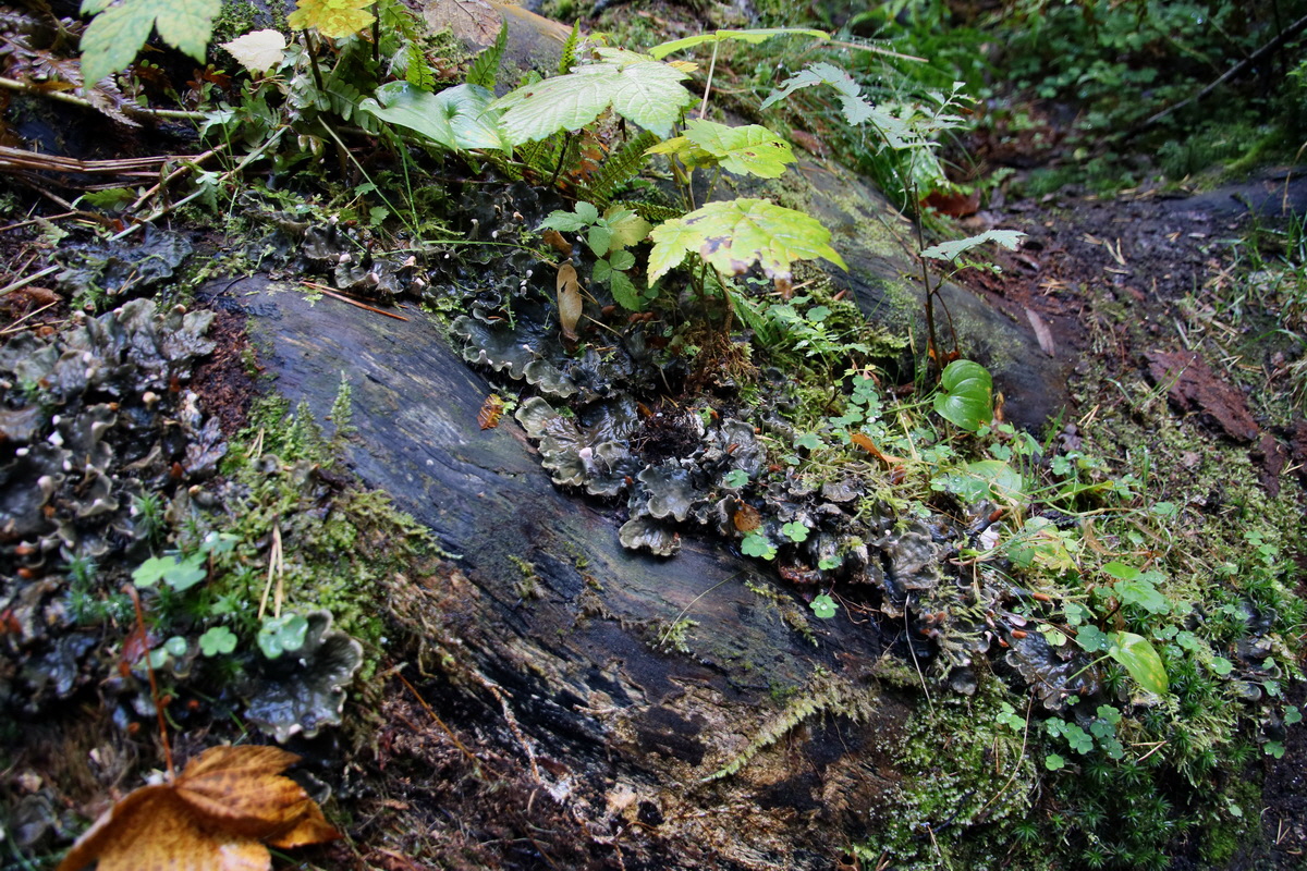 2016_09_06_027730p_Bildgr��e �ndern