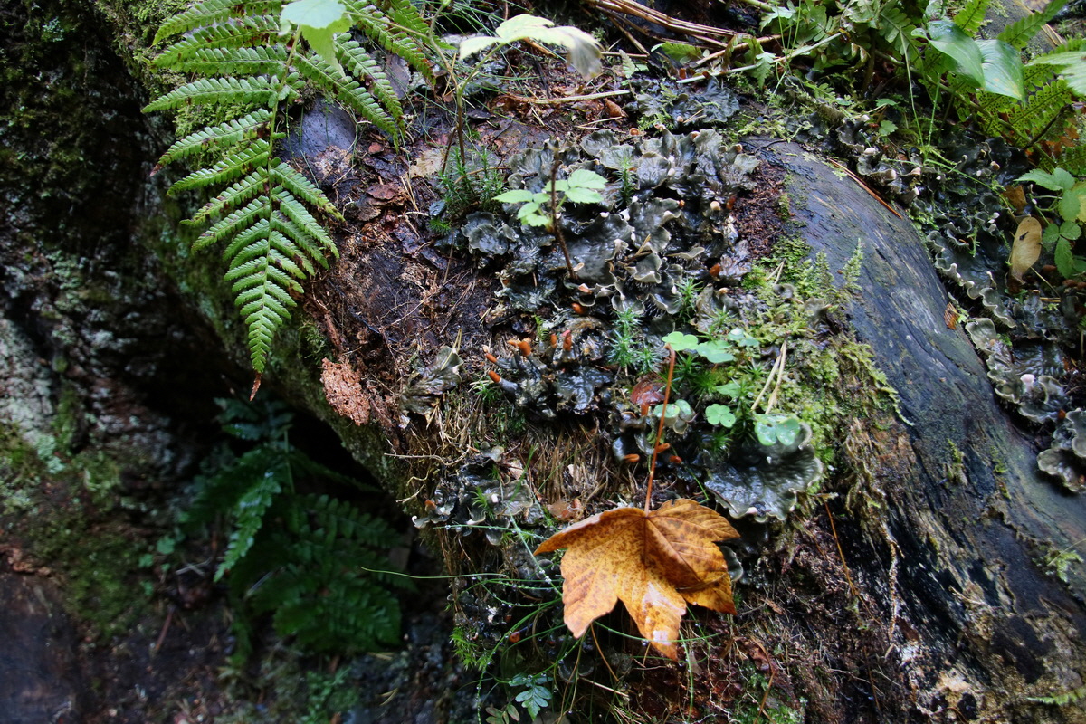 2016_09_06_027734p_Bildgr��e �ndern