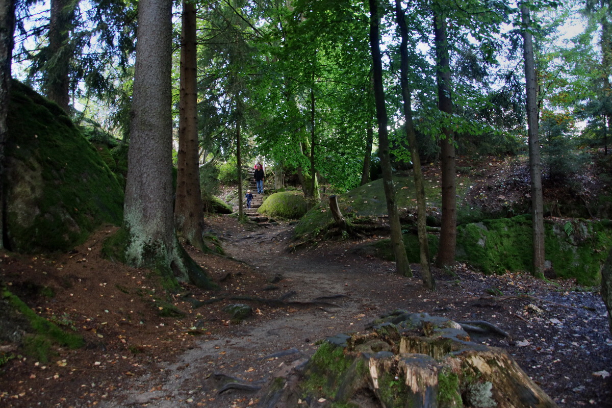 2016_09_06_027752p_Bildgr��e �ndern