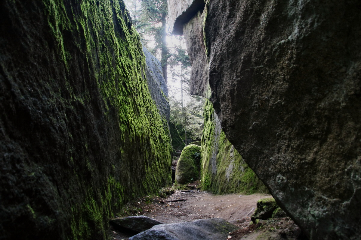 2016_09_06_027754p_Bildgr��e �ndern