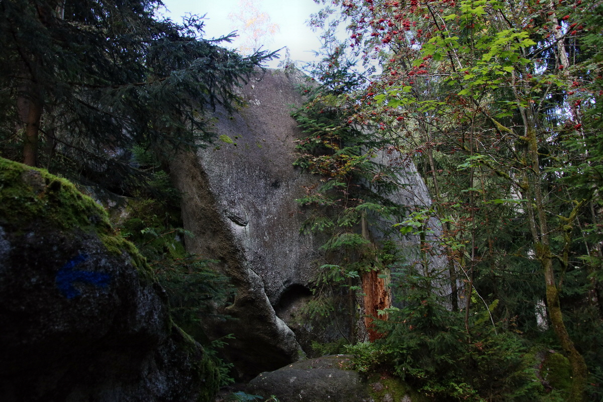 2016_09_06_027758p_Bildgr��e �ndern