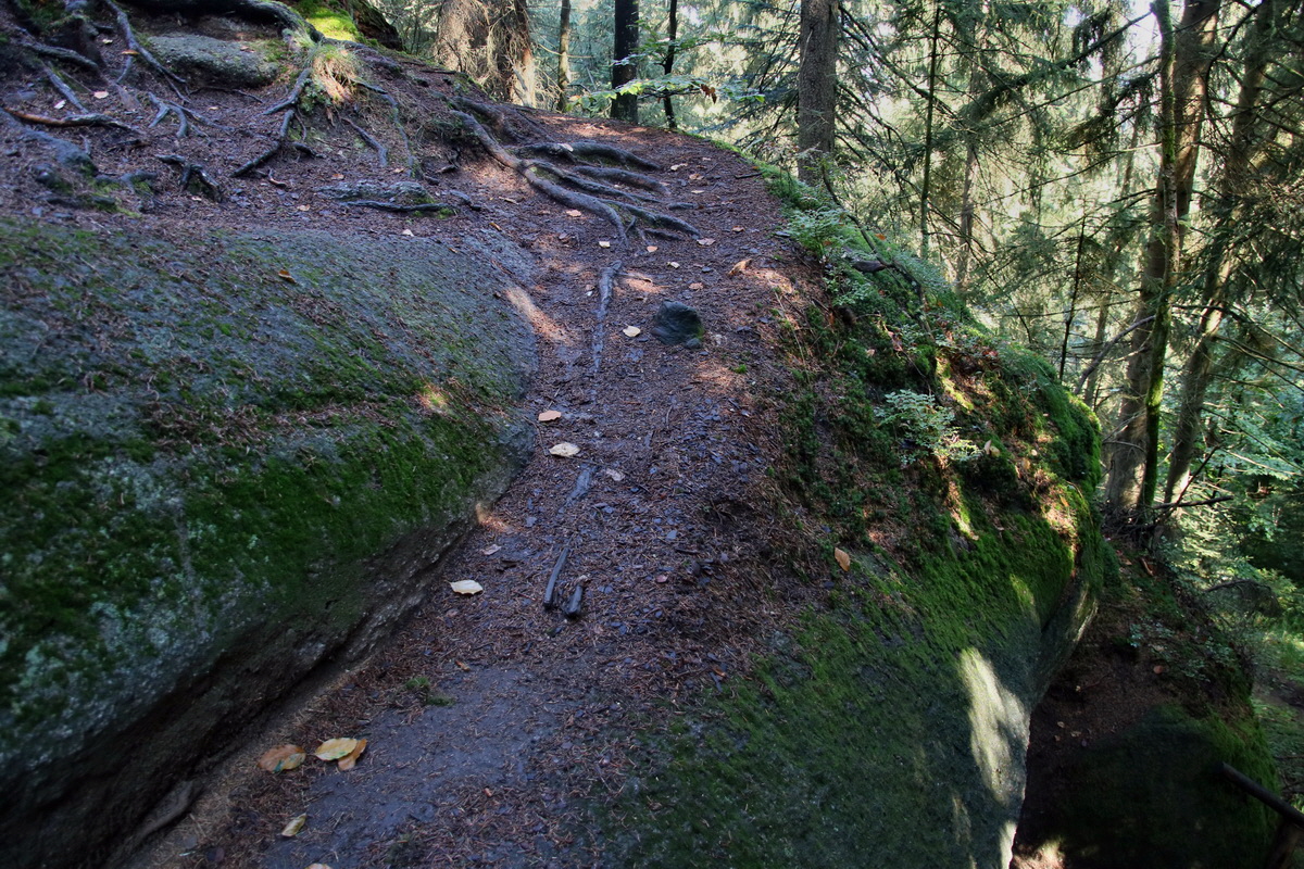 2016_09_06_027765p_Bildgr��e �ndern