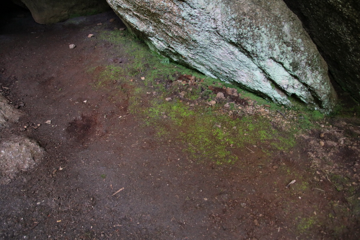 2016_09_06_027778p_Bildgr��e �ndern