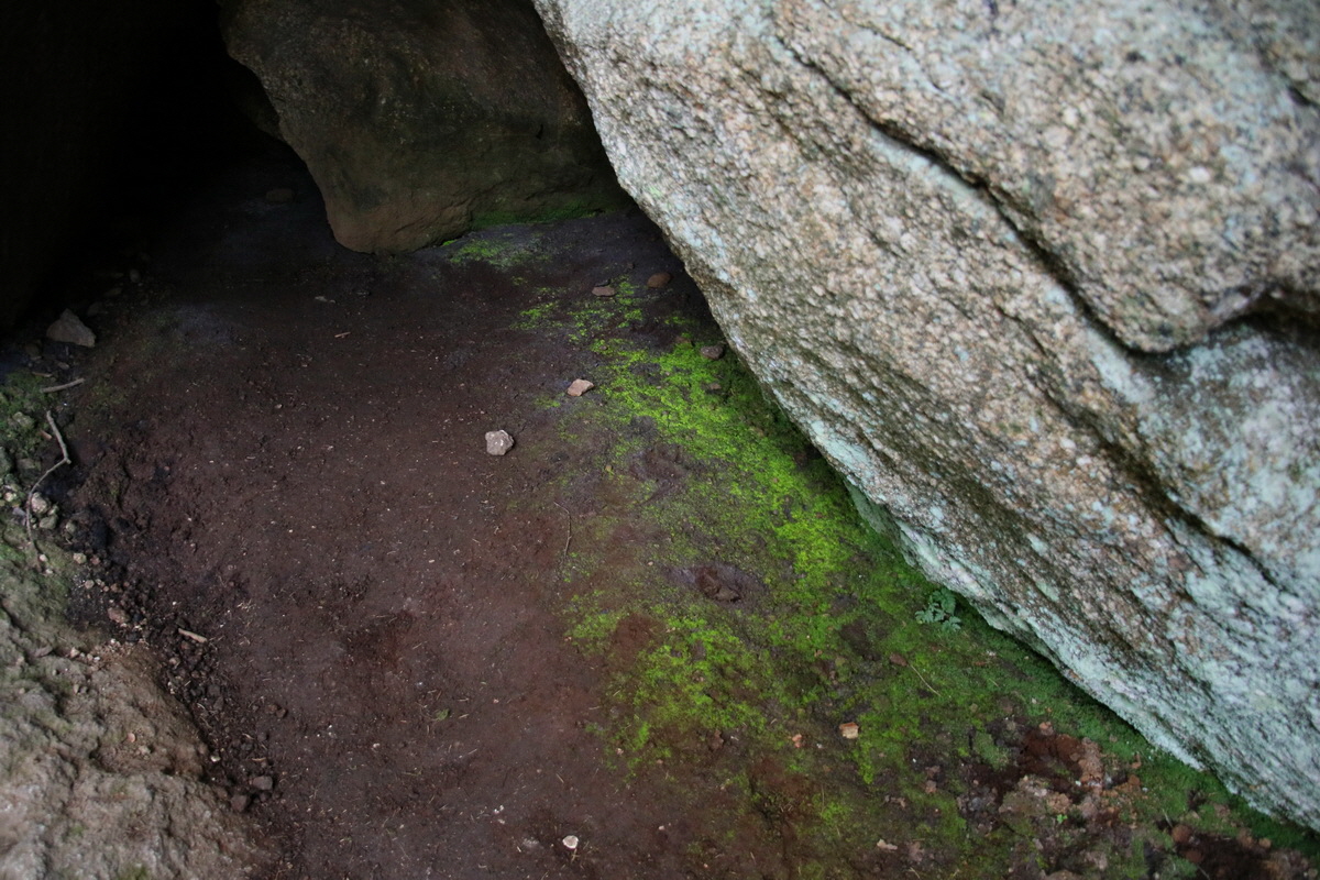 2016_09_06_027780p_Bildgr��e �ndern