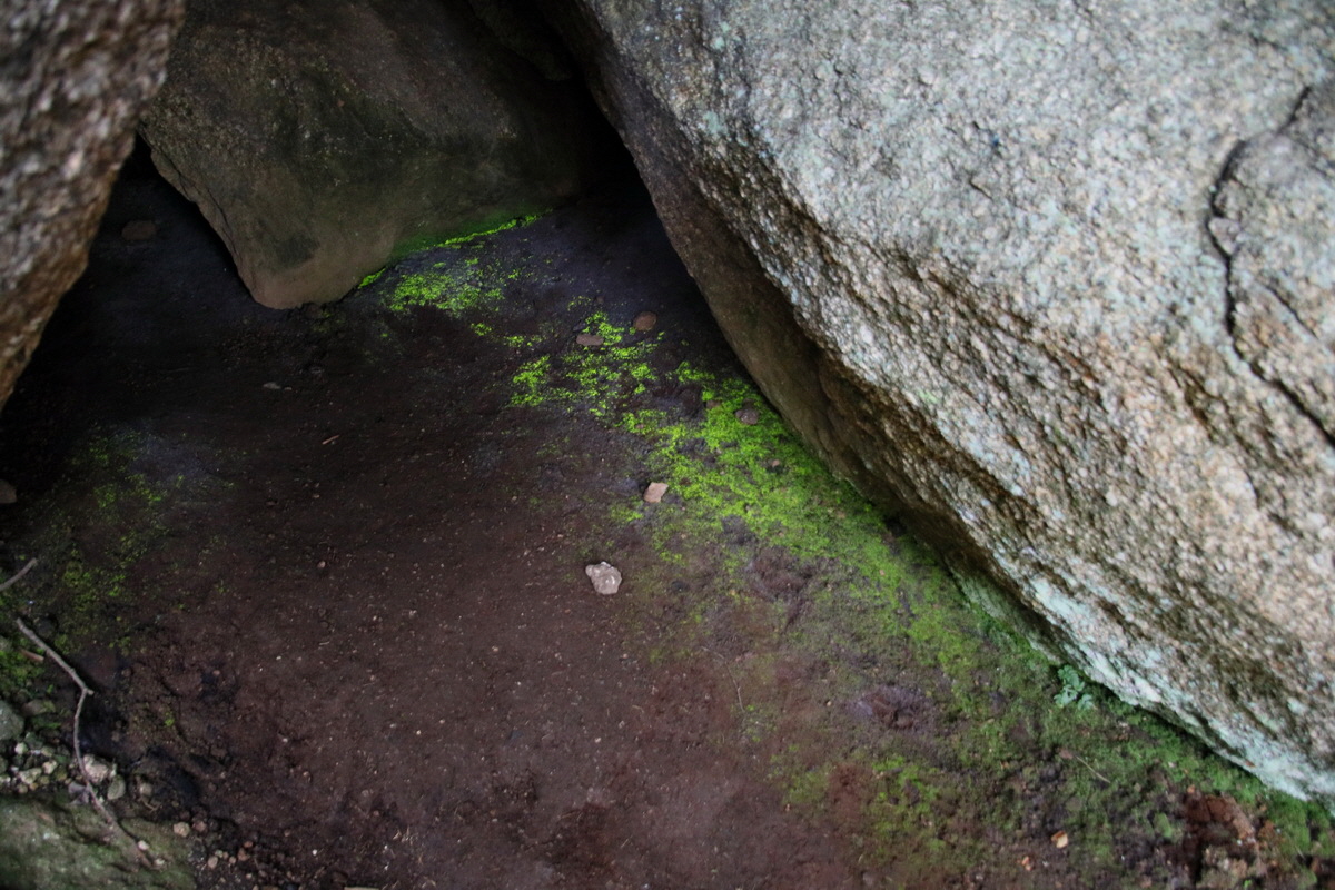 2016_09_06_027783p_Bildgr��e �ndern