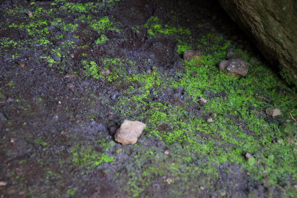 2016_09_06_027790p_Bildgr��e �ndern