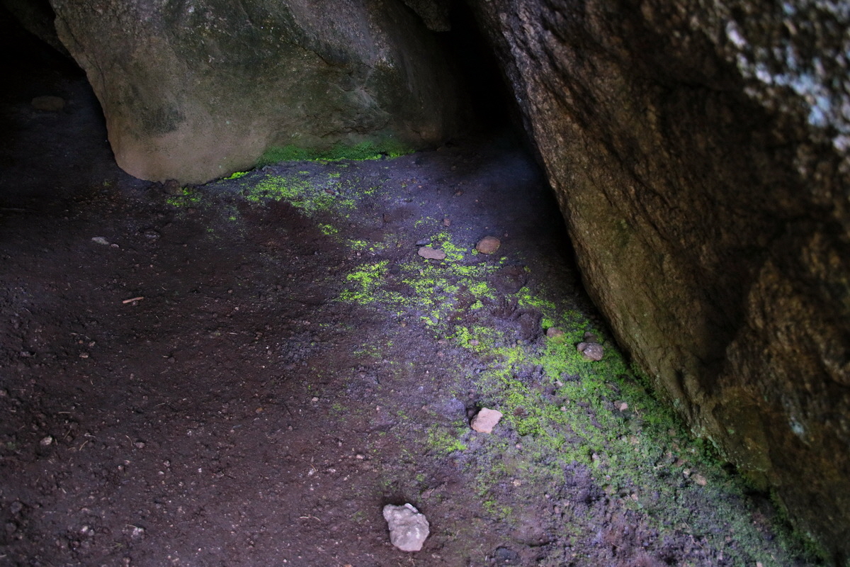 2016_09_06_027799p_Bildgr��e �ndern