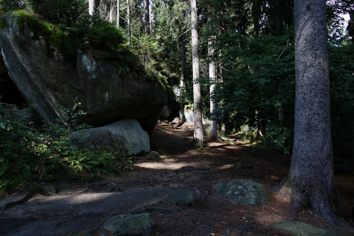 2016_09_06_027801p_Bildgr��e �ndern